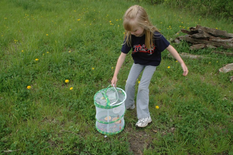 Linnea unzips the habitat; butterflies hesitate.