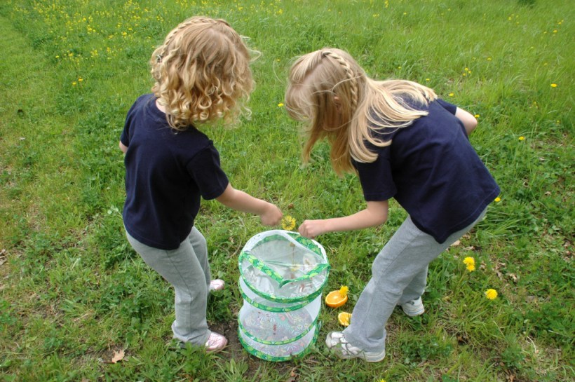 Laurel tries to lure butterflies out using a dandylion.