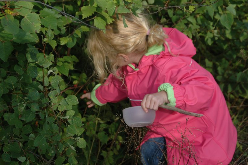 upnorth0809 077 upnorth0809 077