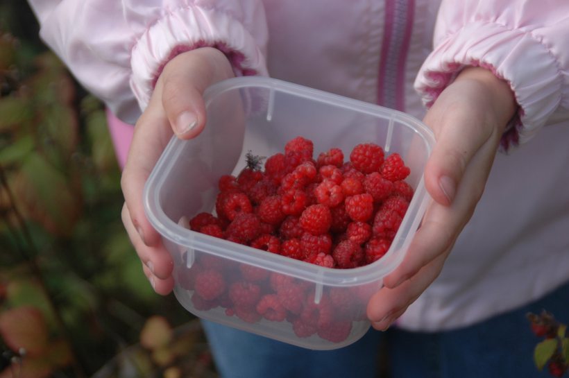 upnorth0809 087 upnorth0809 087