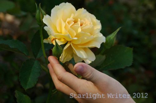 arboretumINsept 105006