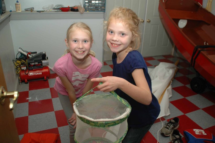 cricketsNleaves 003aa