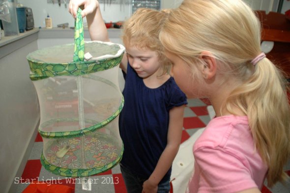 cricketsNleaves 006b