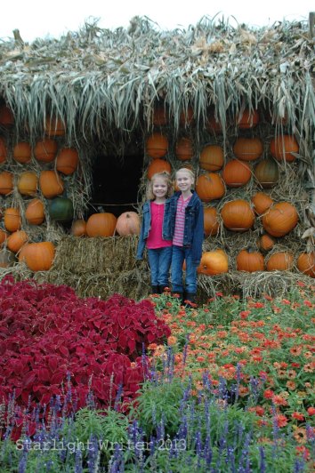 cricketsNleaves 013d