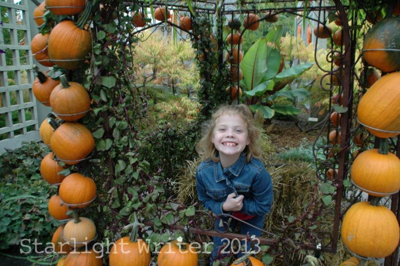 cricketsNleaves 020e