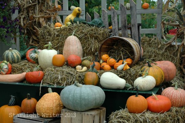 cricketsNleaves 027h