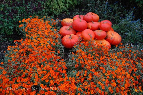 cricketsNleaves 029i