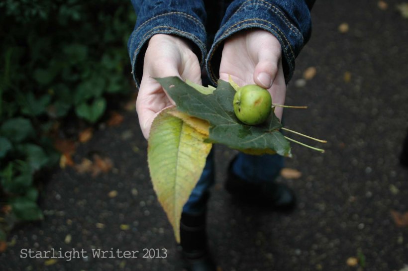 cricketsNleaves 037l