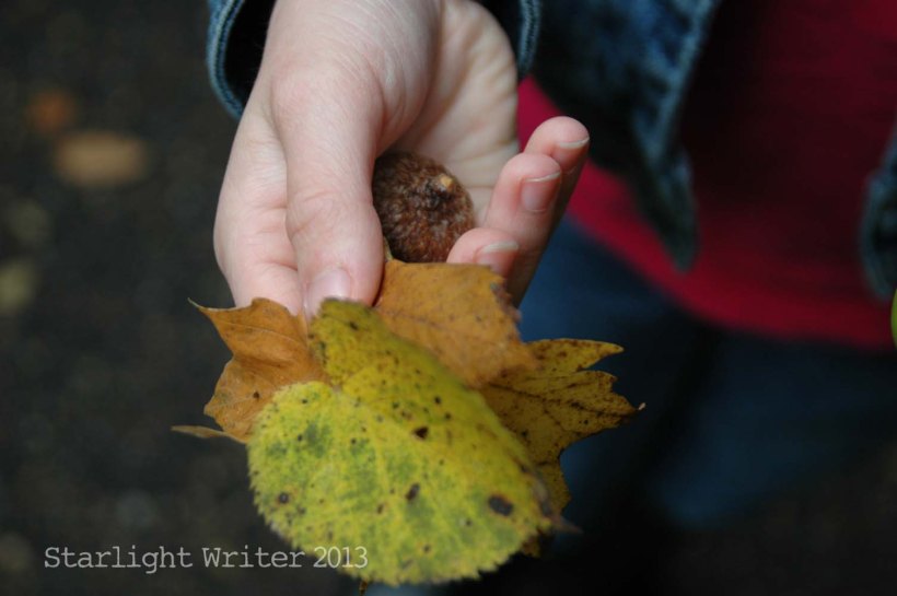 cricketsNleaves 039m