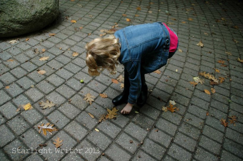 cricketsNleaves 041n