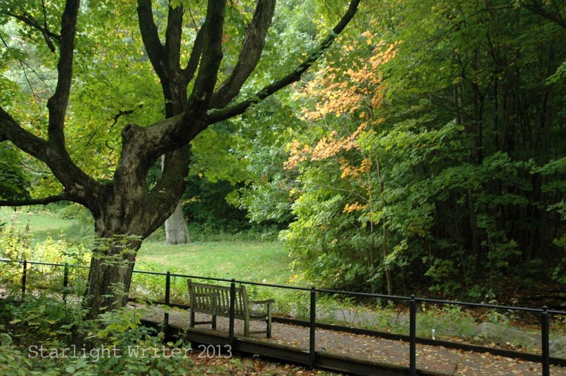 cricketsNleaves 048p