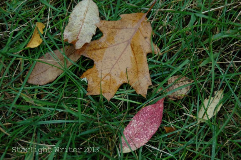 cricketsNleaves 065u