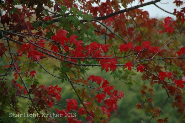 cricketsNleaves 073v