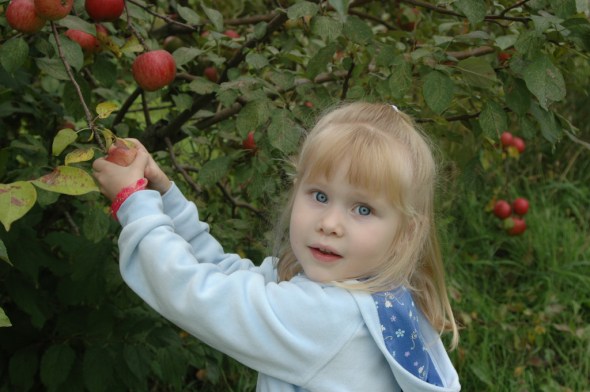 applepickin4