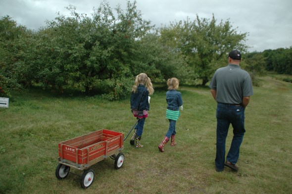 applepicking 004
