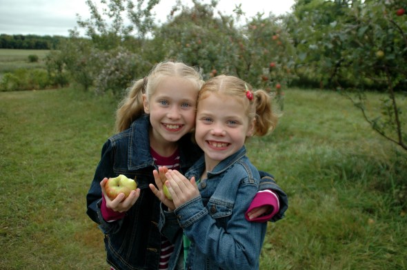 applepicking 043