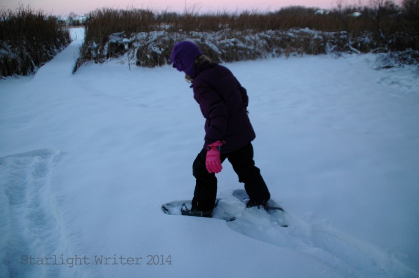 snowshoes 020101