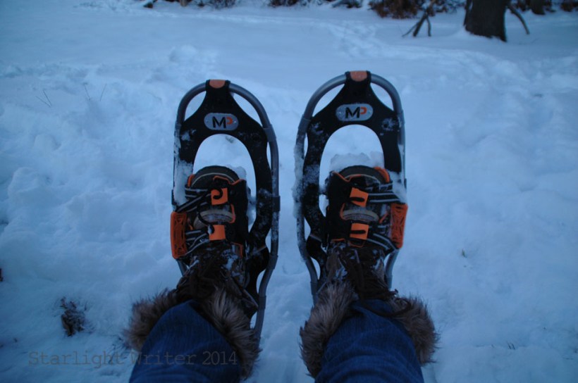 snowshoes 033104