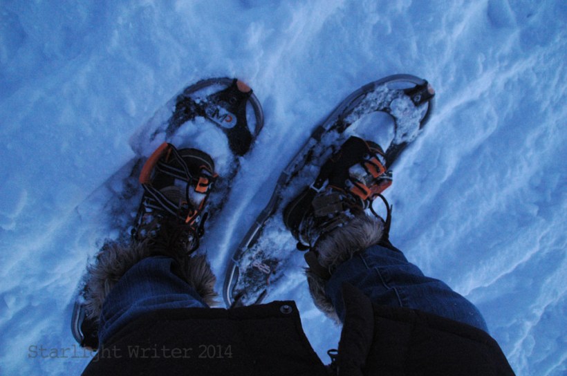 snowshoes 070108