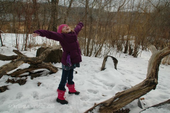 arboretuminJan 05509