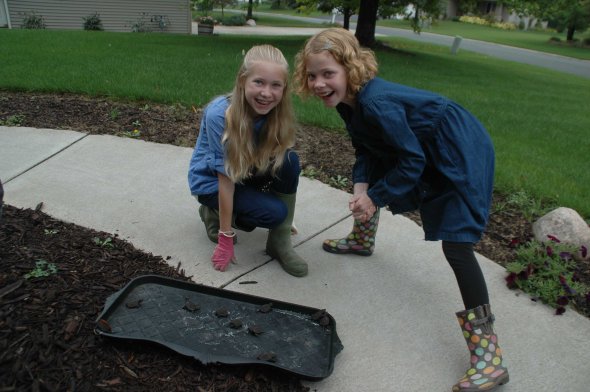 00turtle_appledays 066x