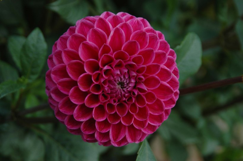 danceANDarbtrip 070x